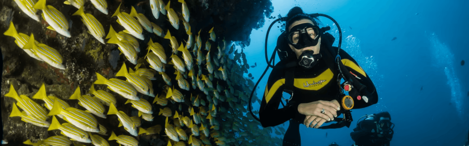 scuba diving activities in ibiza