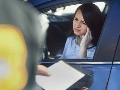 Management of Fines and Penalties: Efficient Vehicle Administrative Solutions