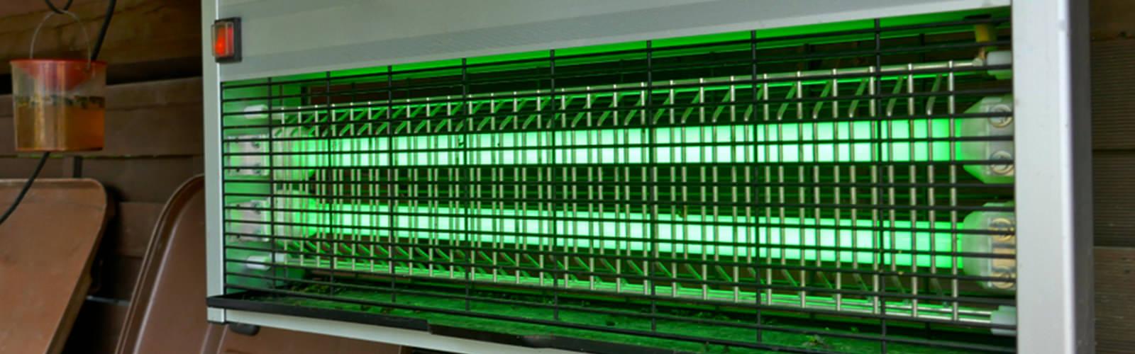 mosquito catcher ibiza