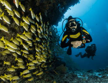 scuba diving activities in ibiza