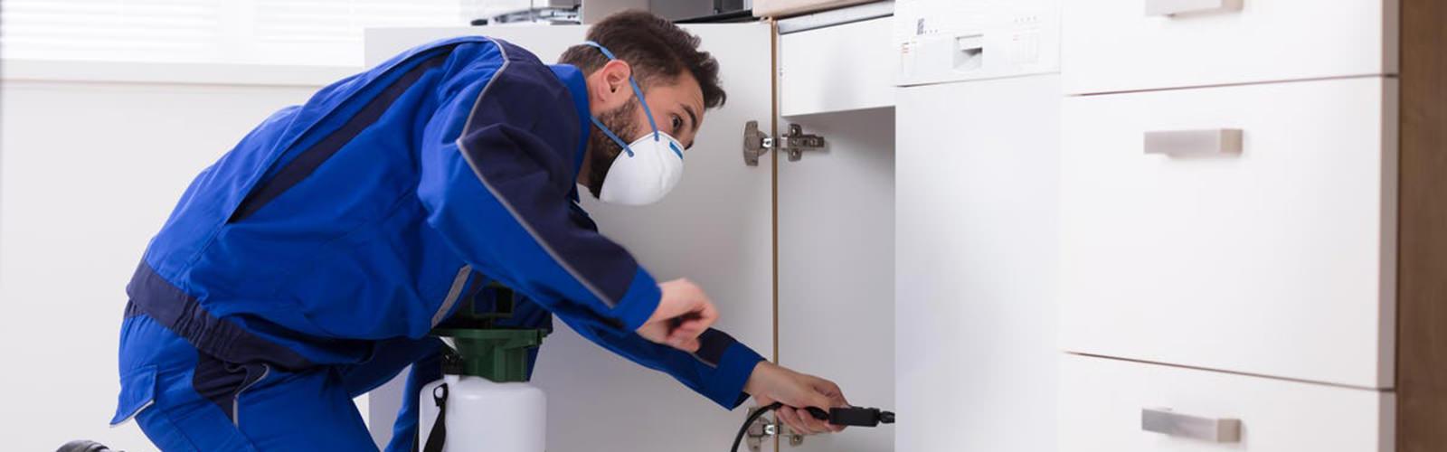 pest control services ibiza