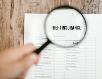 Theft Insurance