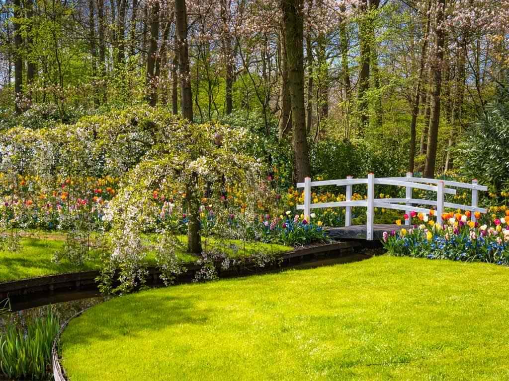 How to Keep Your Gardens in Shape All Summer?